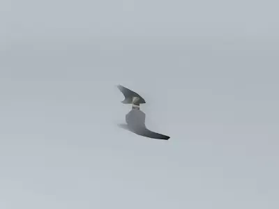 Bridge Thader Free 3D model