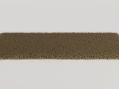 Brown Shag Rug 3D model