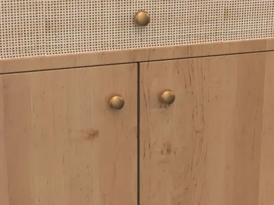 Thelma KD Rattan Small Cabinet 1 Drawer 2 Doors 3D model