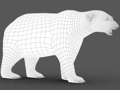  Polar Bear (2) (Animated) (Fur) model 
