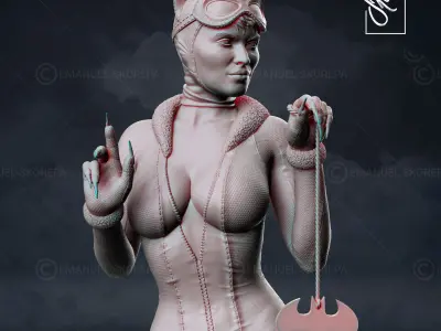 CATWOMAN on barrel 3D print model
