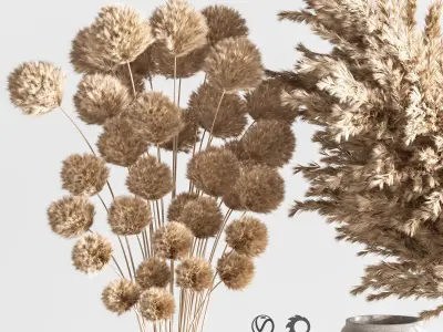 Dry flowers bouquet vase 09 3D model