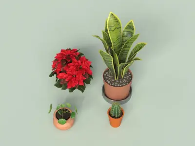  House Plants Bundle 