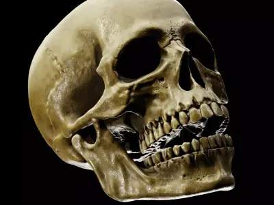 Human Skull Full Printable and Nanite Ready PBR 4K 3D print model
