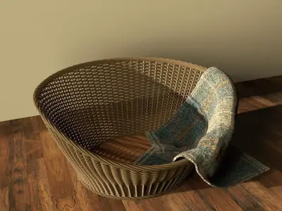 cat basket in nanny afternoon light 3D model