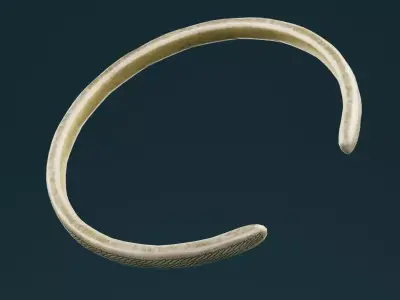 Golden Bangle  Low-poly 3D model shop