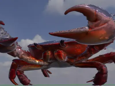 Realistic 3D Crab 3D model