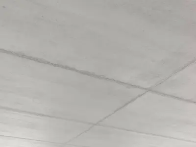 Monolithic Concrete Ceiling - slab joints 01 Texture