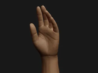 Male Left Hand Rigged Low-poly 3D model