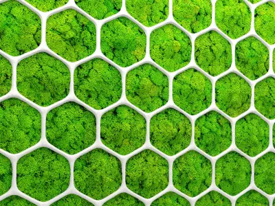 Fytowall moss 3D 2 3D model