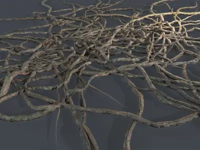 Wood Roots Low-poly 3D model
