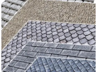 Classic roof Texture