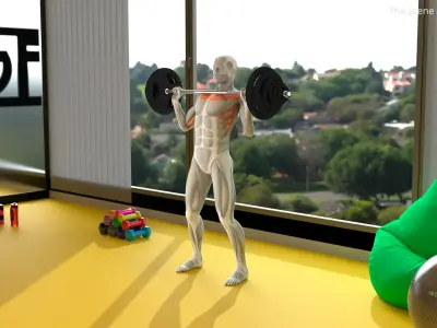  Male Muscular System Shoulder Press 