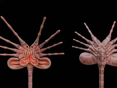 Facehugger Pbr Low-poly 3D model