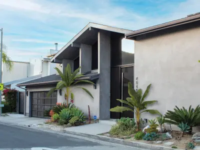 2021 PBR Banana Collection - Musa Paradisiaca  3D model