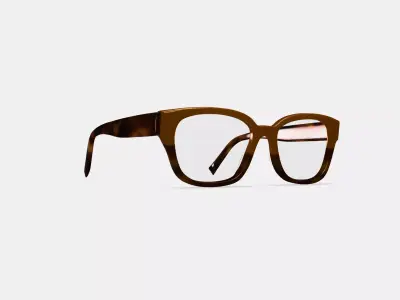 Wentworth Eyeglasses in Saddle Tortoise Fade 3D model