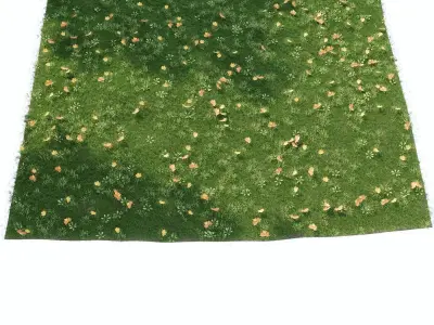 Lawn with fallen leaves 3D model
