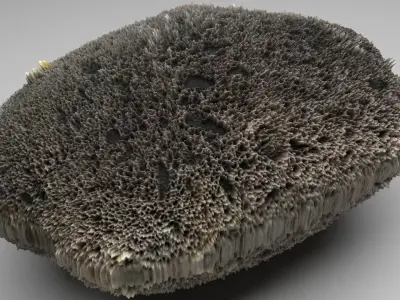 Sponge Rock 3D model