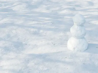Snow 01 3D model