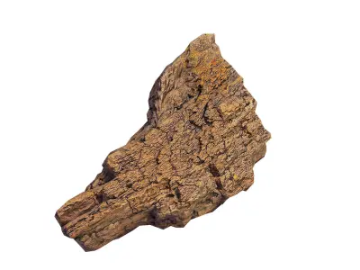 Petrified Wood 1 Low-poly 3D model