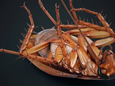  Cockroach American Animated (FUR) 