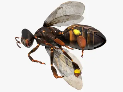  Worker Bee Rigged For Blender 