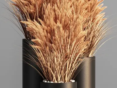 Indoor Plant Set 48  pampas  3D model