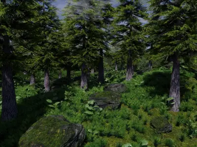 Forest Scene 3D model