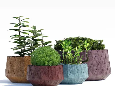 Agave Series 3D model