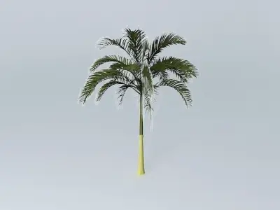 Alexandra Palm Free 3D model