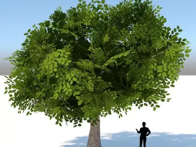 Tree Optimized Low-poly 3D model