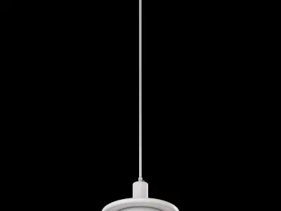 Double Circle Pendant Light 3D model