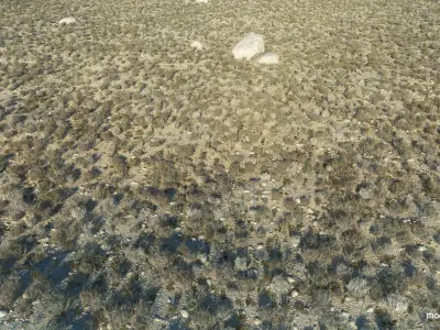  Desert Landscape 6 3D model