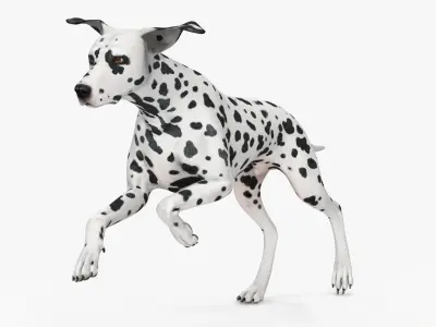  Large Dogs Rigged Collection 3 