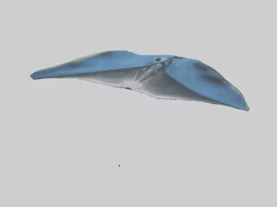 Manta Ray gliding underwater model Low-poly 3D model