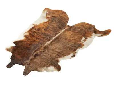 Rustic Living Rug 3D model