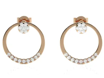 Light wt Women Diamond Earrings  3D print model