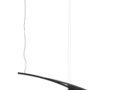 Almendra Organic 3D Model 3D model