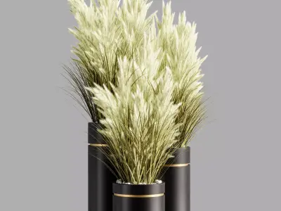 Indoor Plant Set 79 3D model