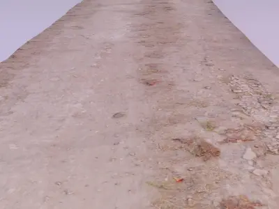 Country road scan Low-poly 3D model