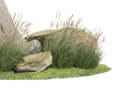 Stone and Bush Pack 30 3D model