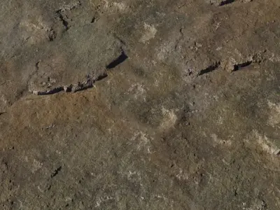 Weathered Mudrock Ground PBR Texture Texture