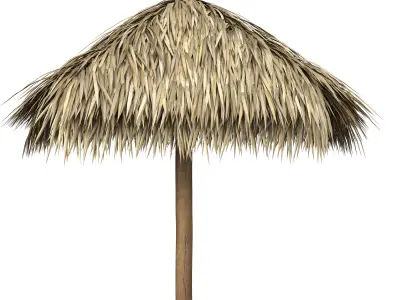 Thatch Palm Gold Leaf Umbrella Patio and Beach 3D model