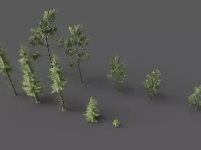 PINE TREE PACK Low-poly 3D model