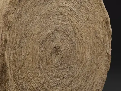 Hay Bale Low-poly 3D model