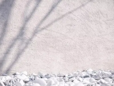 Rough plaster wall texture Texture