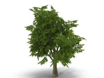 Tree LOW POLY juniper Low-poly 3D model