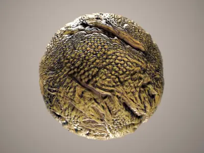 10 Materials Skin Dragon Seamless PBR Volume 18 Texture