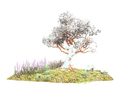 Tropical Paradise of Royal Poinciana trees 3D model