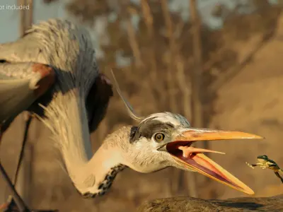  Great Blue Heron Hunts Frog Animated Rigged For Blender 